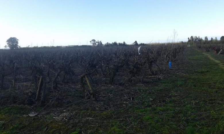 Venta Terreno Retiro - Maule