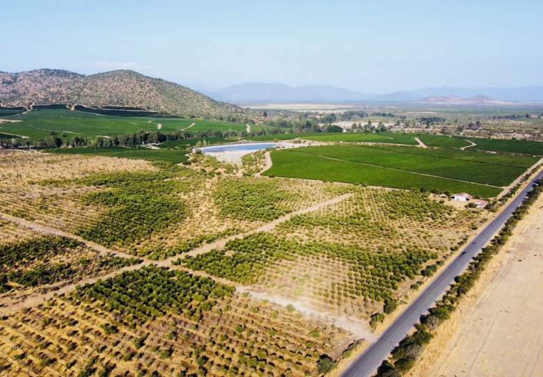 Venta Terreno Marchigüe - O'Higgins