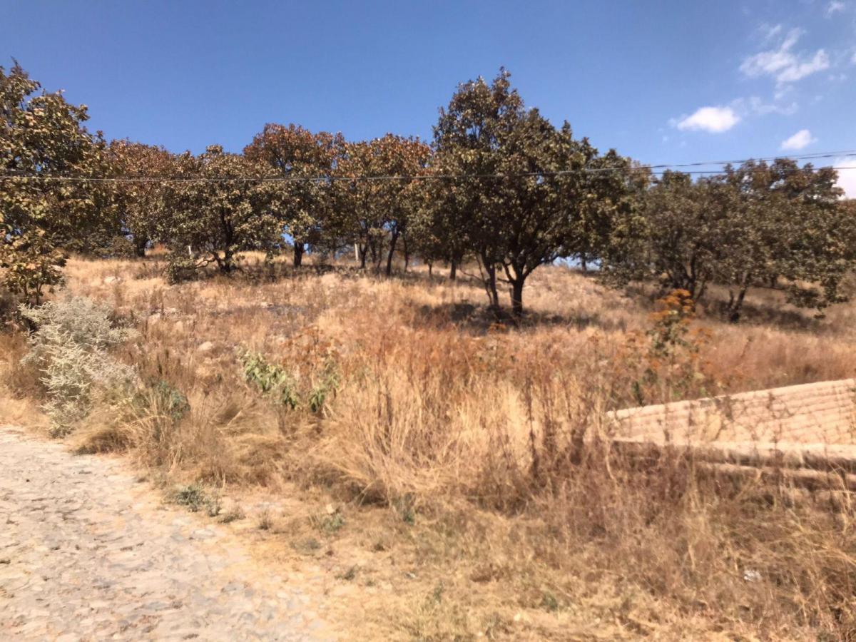 Venta Terreno / Lote Lomas de Montechelo (El Pedregal) - Zapopan