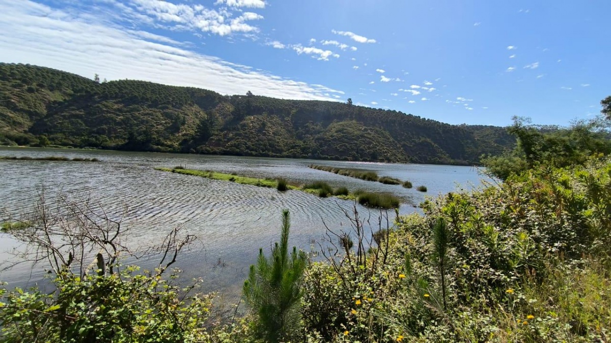 Venta Parcela Pichilemu - O'Higgins