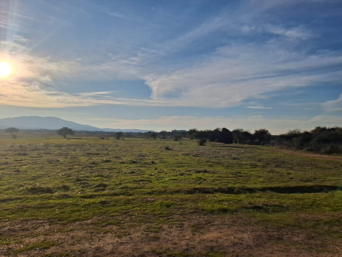 Venta Terreno Pumanque - O'Higgins