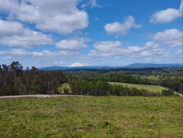 Venta Agrícola Villarrica - La Araucanía