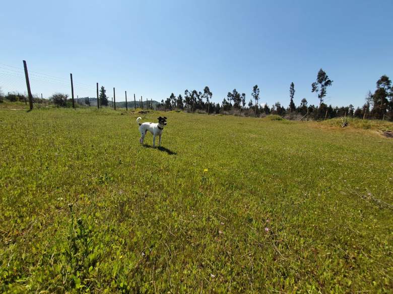 Venta Terreno Constitución - Maule