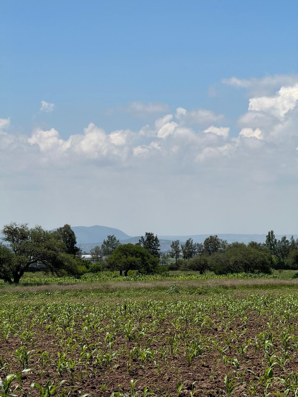 Venta Agrícola Fuentezuelas - Tequisquiapan