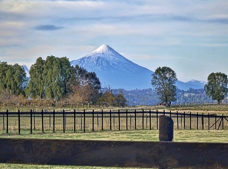Venta Terreno Nueva Braunau - Los Lagos
