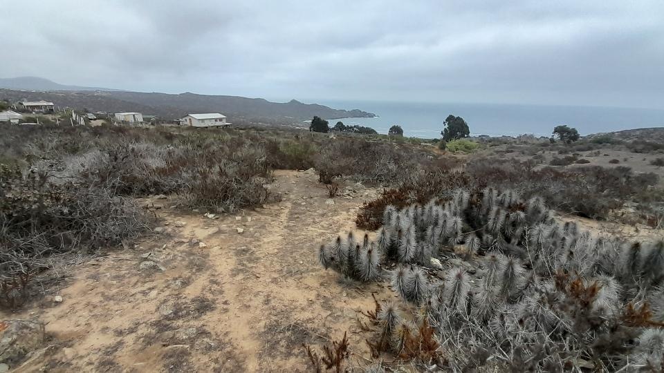 Venta Parcela La Serena - Coquimbo