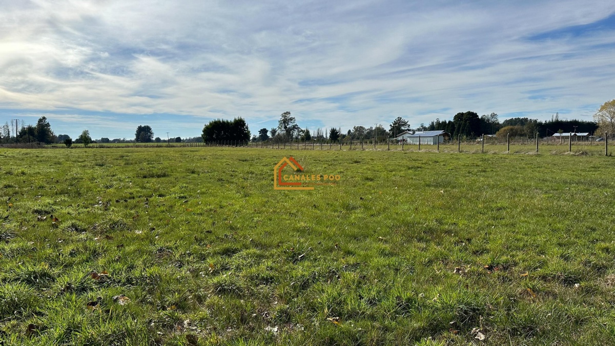 Venta Parcela Pitrufquén - La Araucanía