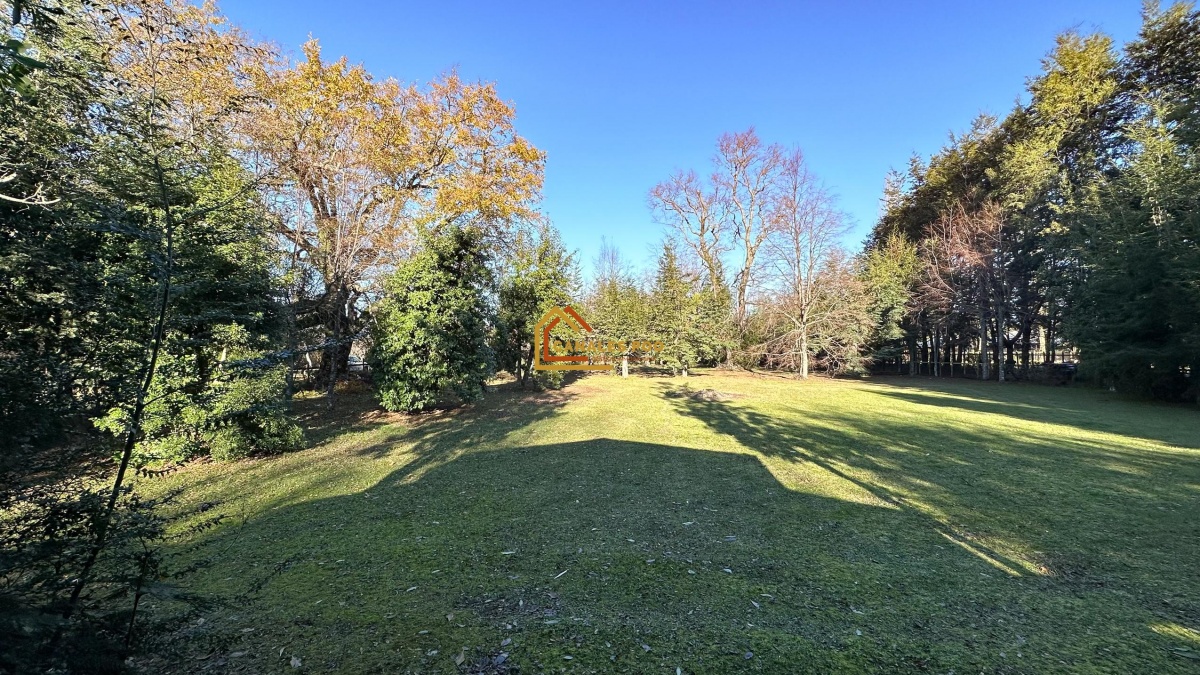 Venta Parcela Villarrica - La Araucanía