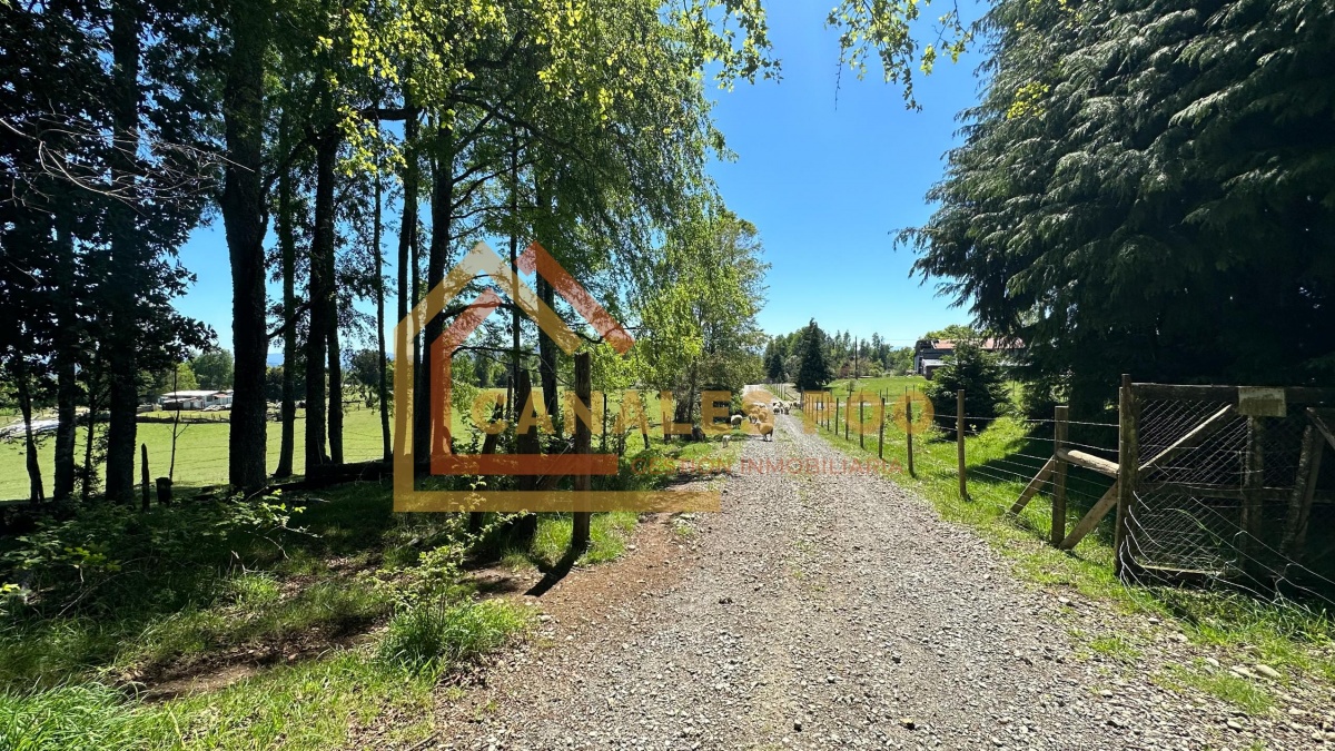 Venta Inversión Panguipulli - Los Ríos
