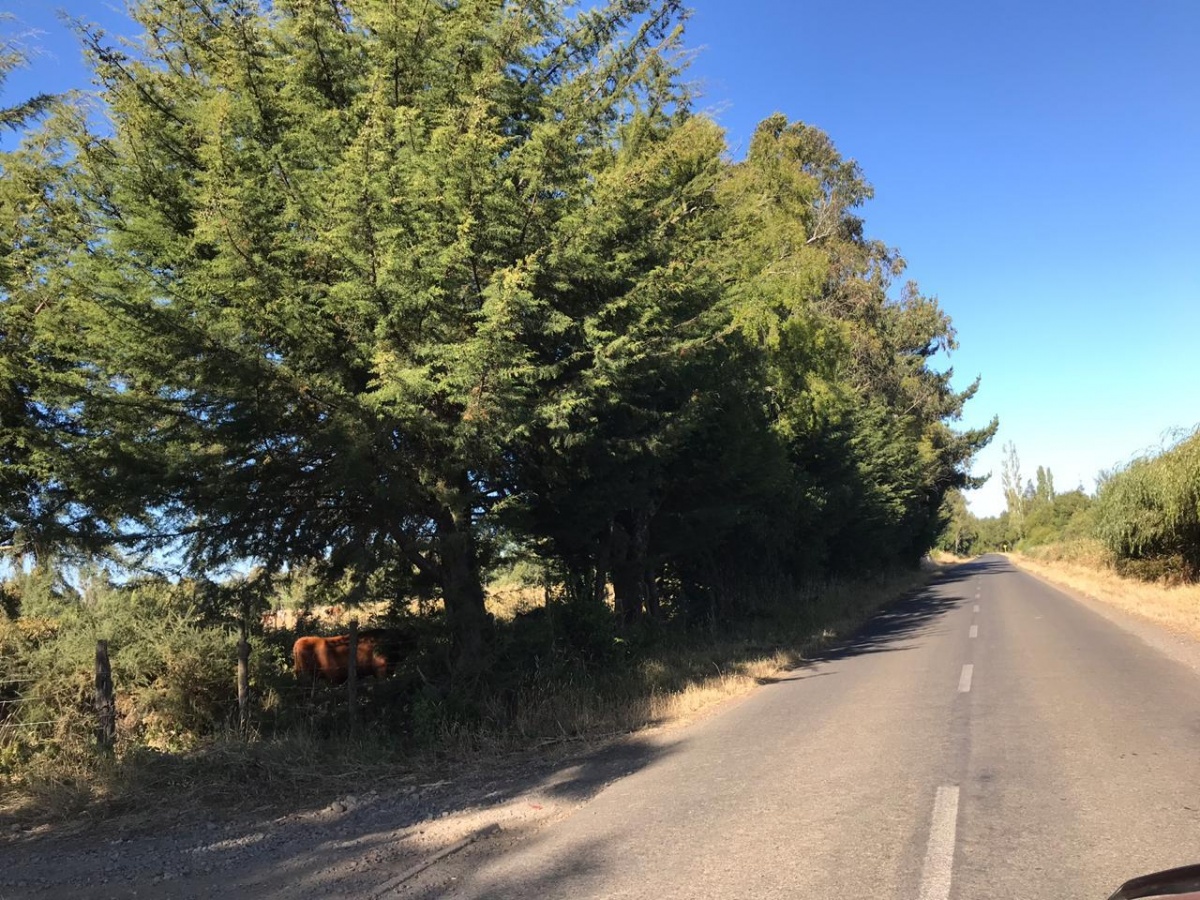 Venta Terreno Temuco - La Araucanía