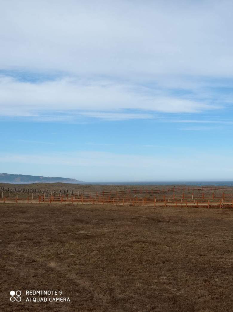 Venta Terreno Tregualemu - Maule