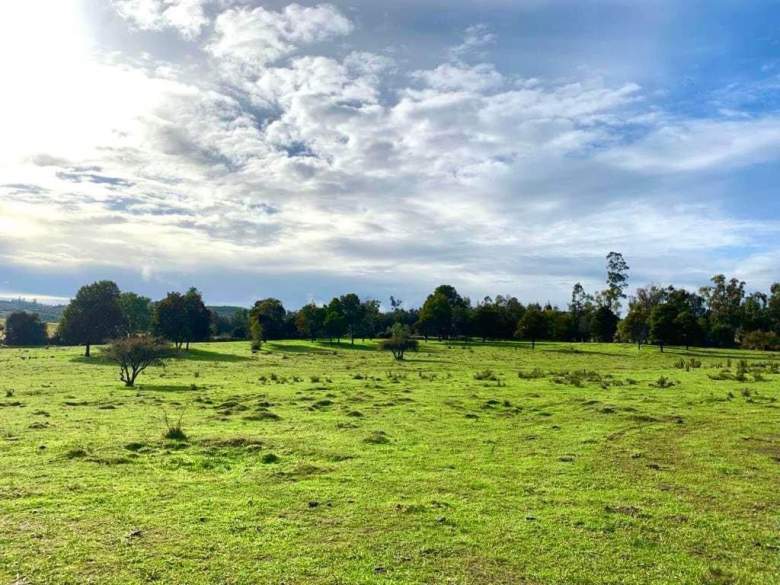 Venta Terreno Lago vichuquen - Maule