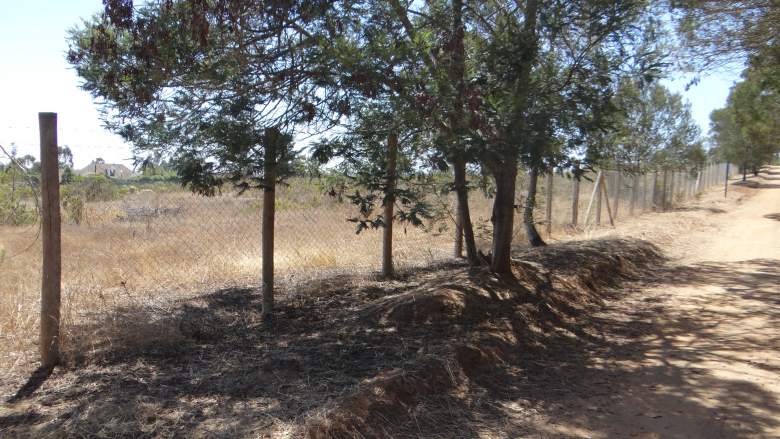 Venta Sitio Algarrobo - Valparaíso