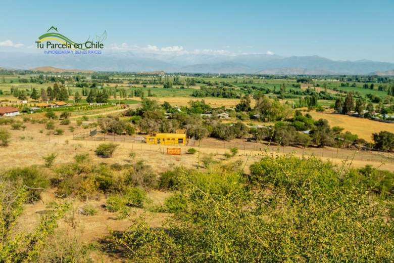 Venta Agrícola Rengo - O'Higgins