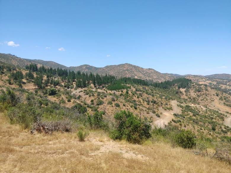 Venta Terreno Peralillo - O'Higgins