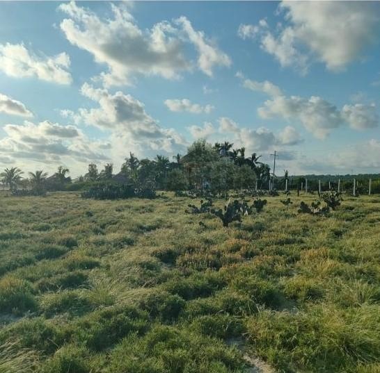 Venta Lote Escobilla - Santa María Tonameca
