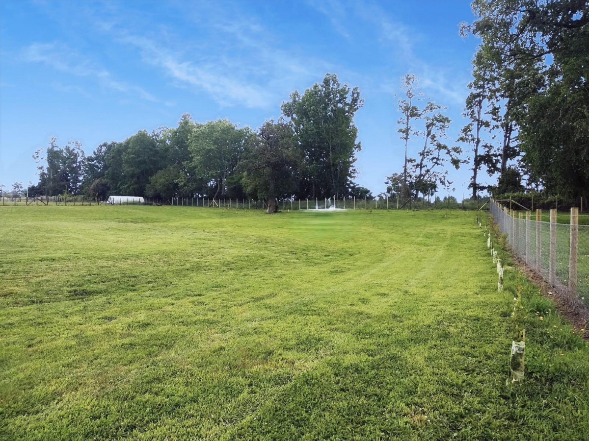 Venta Terreno Osorno - Los Lagos