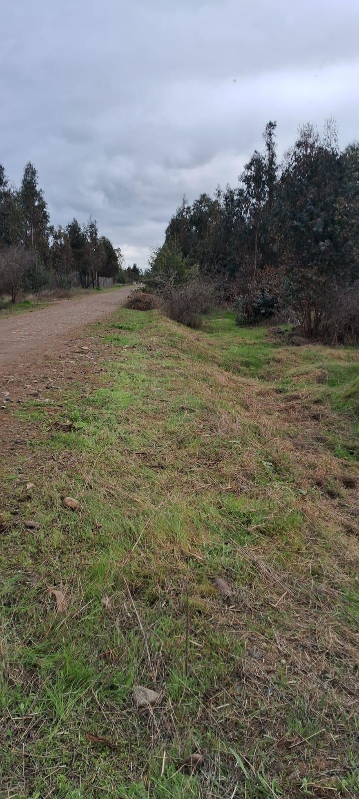 Venta Parcela San Nicolás - Ñuble