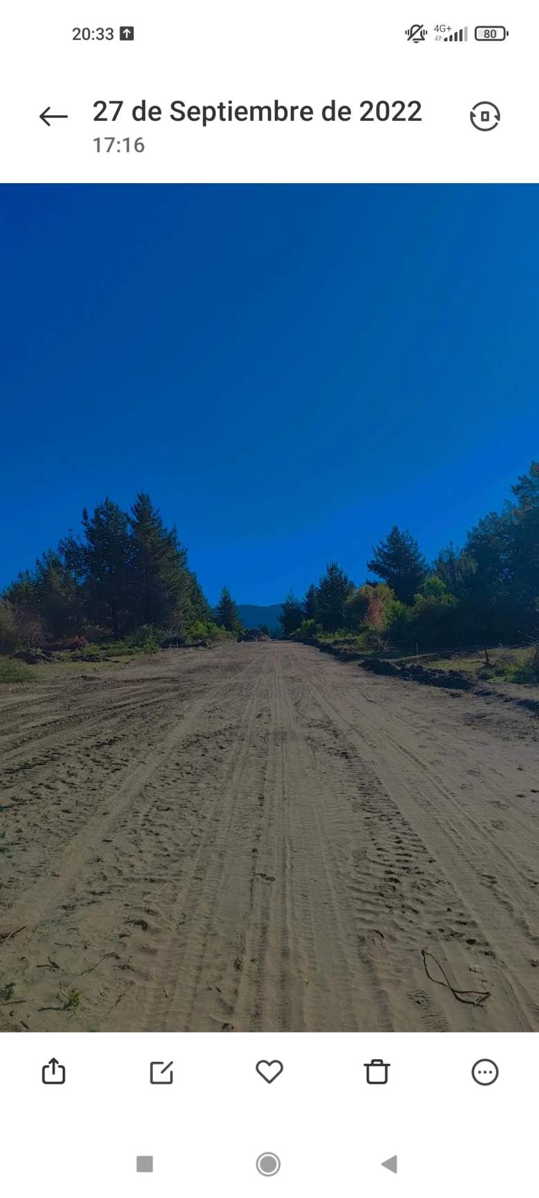 Venta Terreno Hualqui - Biobío