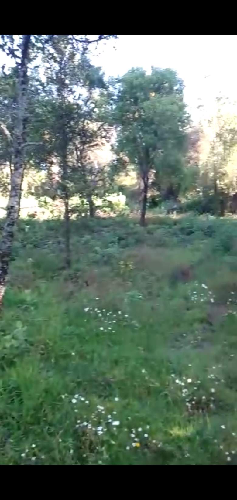 Venta Terreno / Lote Tres Marías - Huitzilac