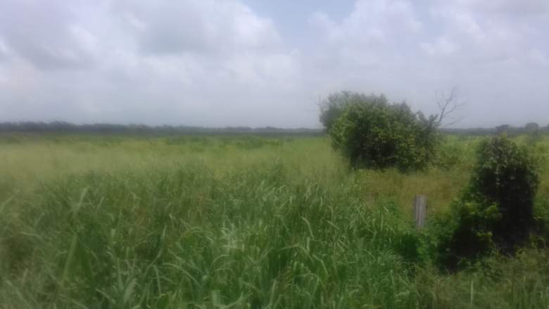 Venta Rancho Tizimin Centro - Tizimín