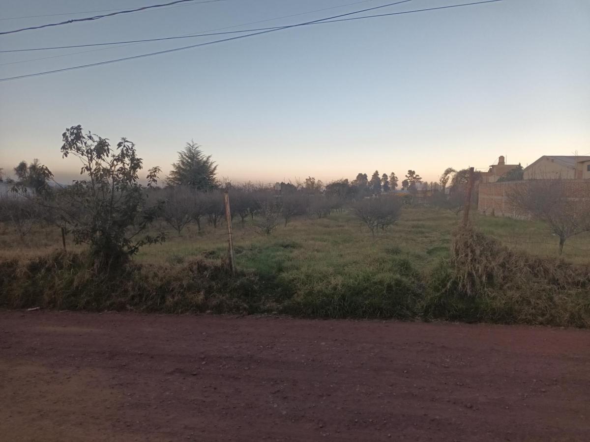 Venta Terreno / Lote Tomatlán - Zacatlán