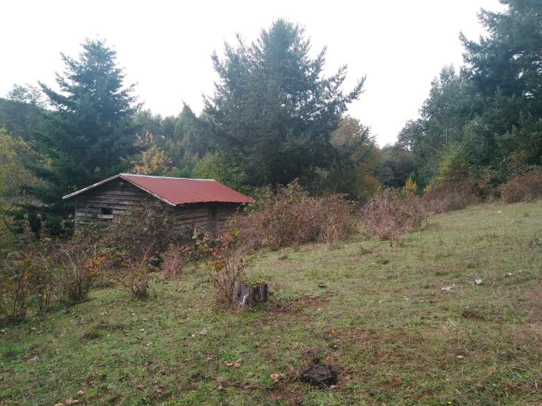 Venta Terreno Mafil - Los Ríos