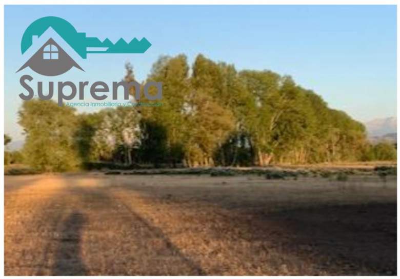 Venta Terreno Longaví - Maule
