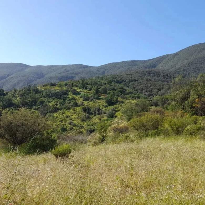 Venta Terreno Quillota - Valparaíso
