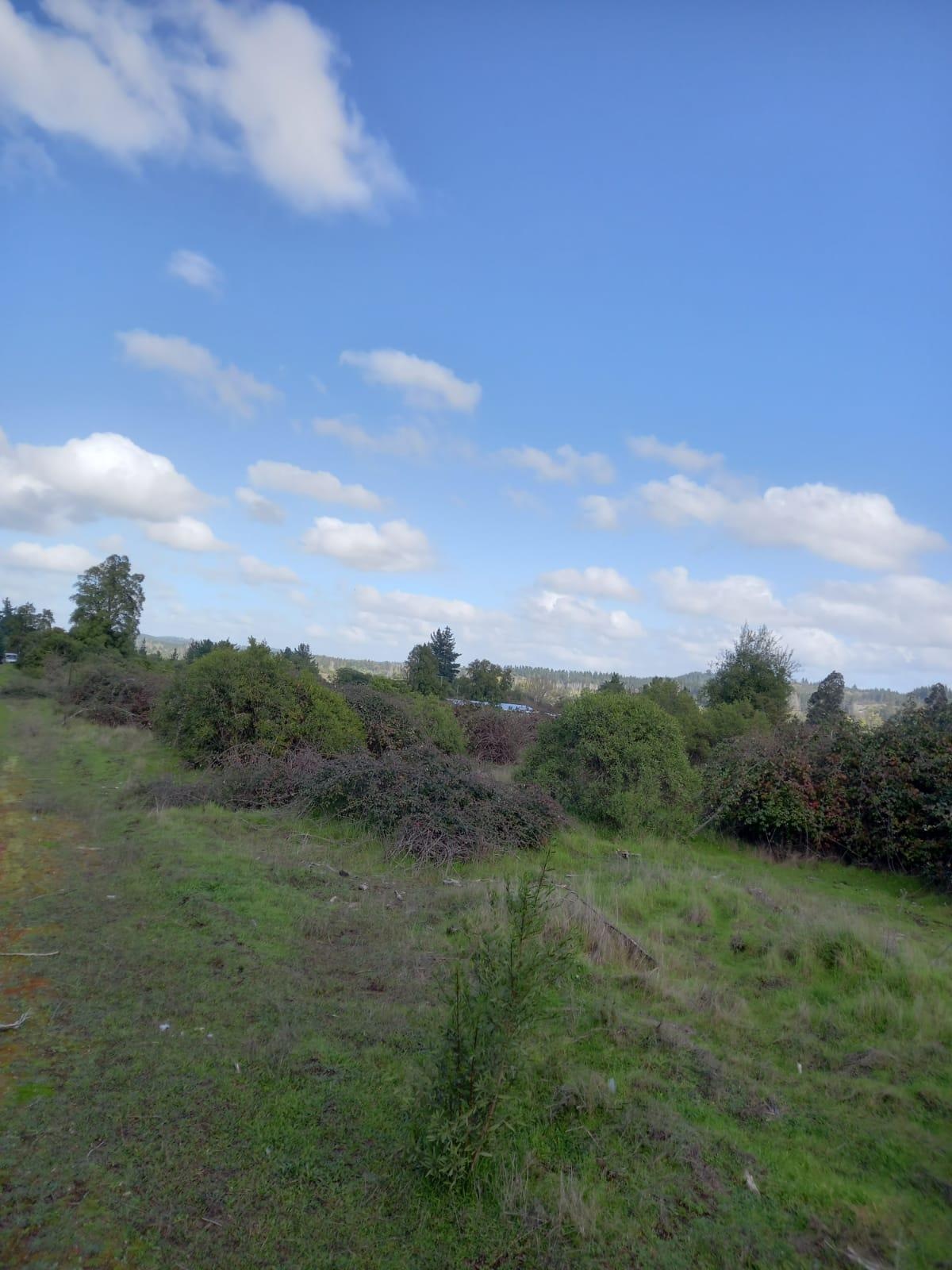 Venta Parcela Bulnes - Ñuble