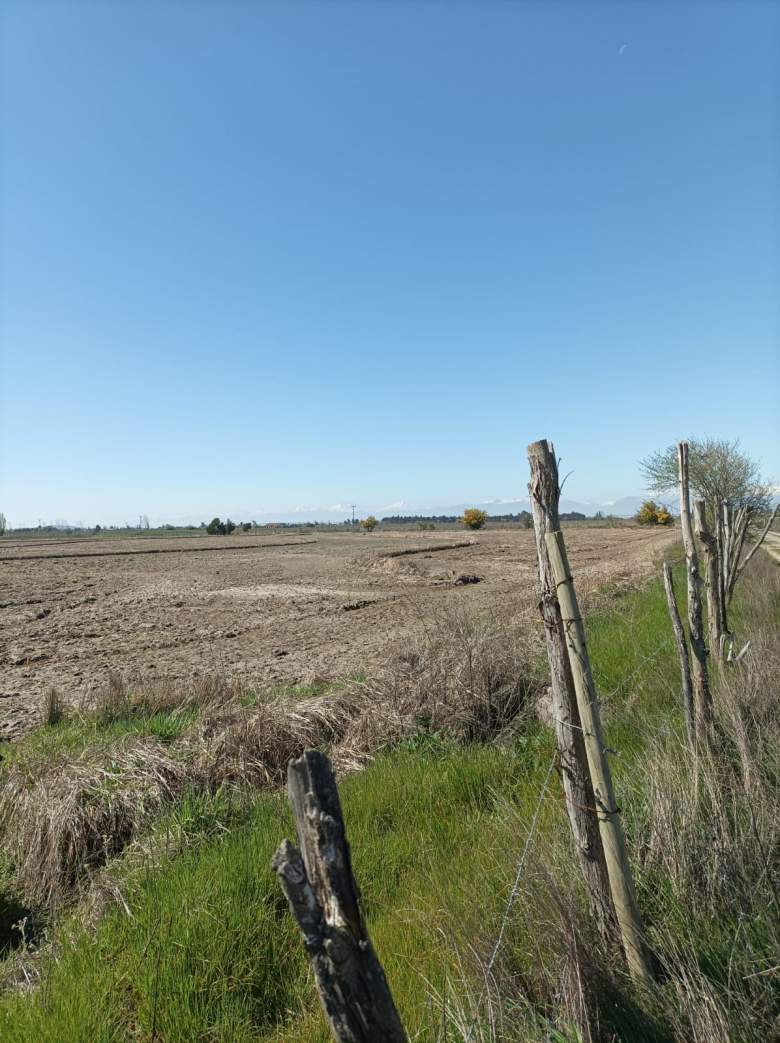 Venta Terreno Longaví - Maule