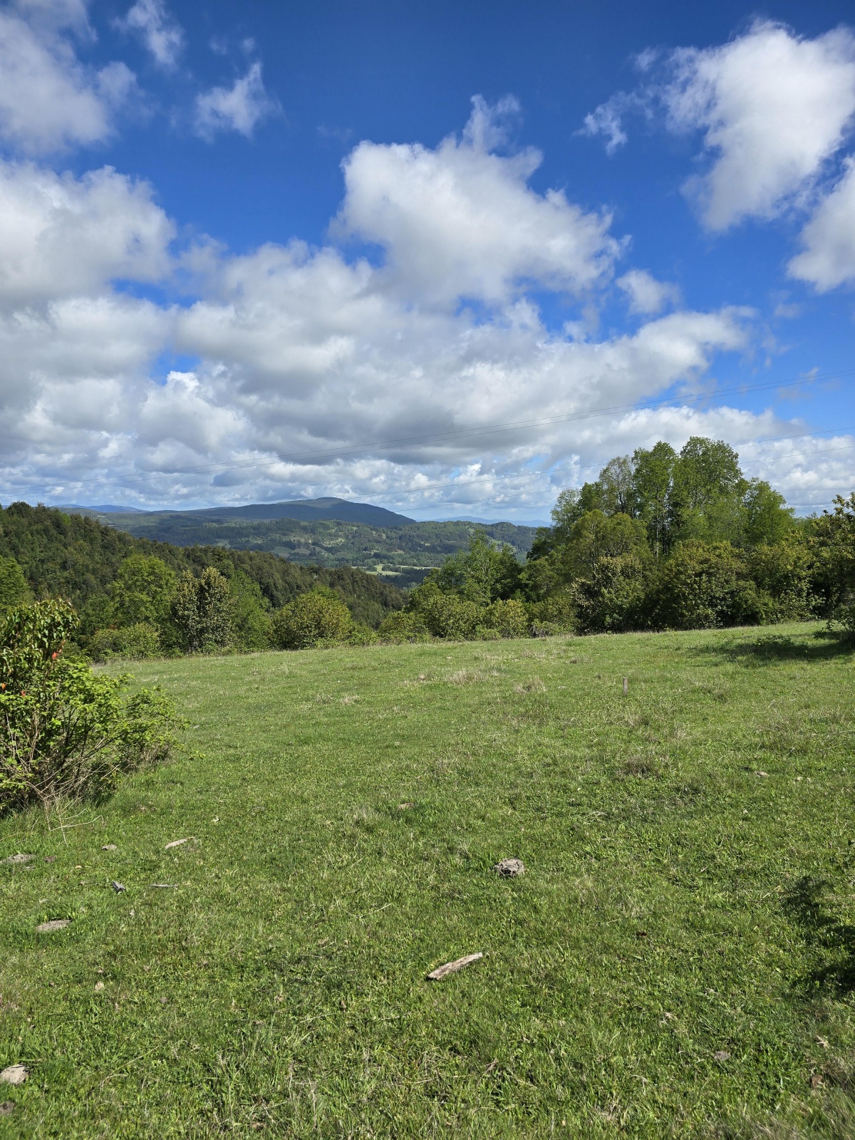 Venta Parcela Licanray - La Araucanía