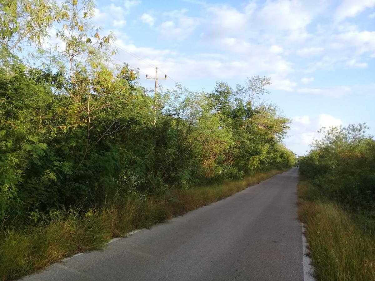 Venta Terreno / Lote Tixpéhual - Yucatán