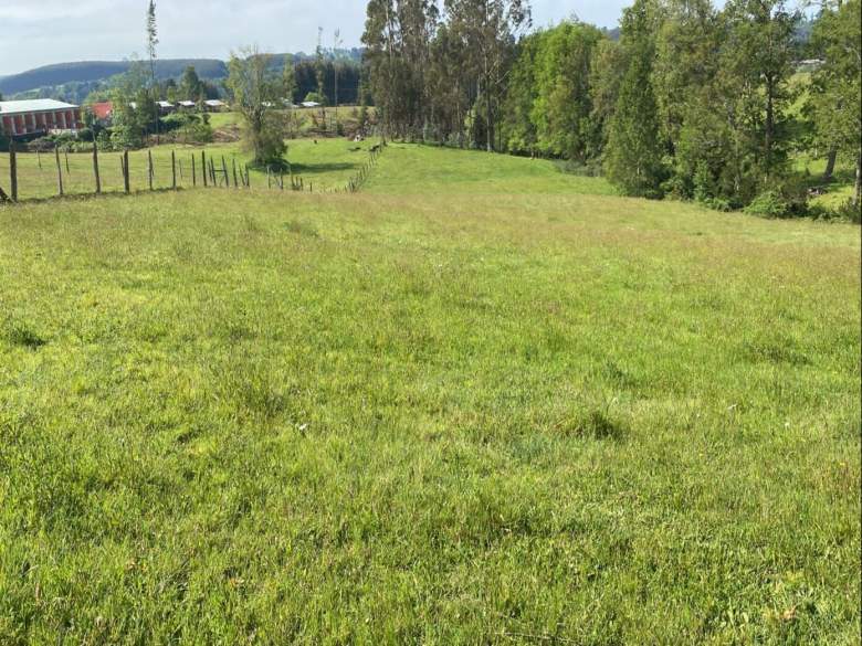 Venta Terreno Río negro - Los Lagos