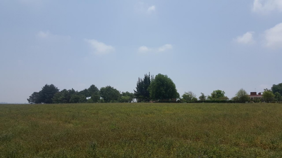 Venta Terreno / Lote Chipilo de Francisco Javier Mina - San Gregorio Atzompa