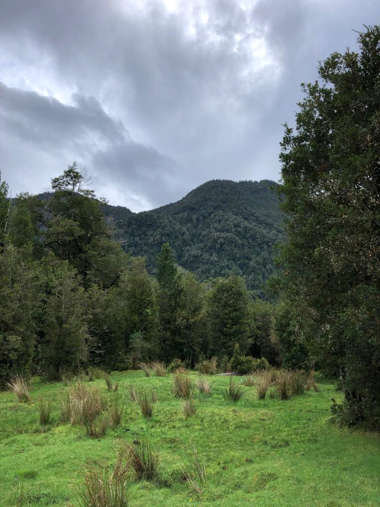 Venta Terreno Cisnes - Aysén