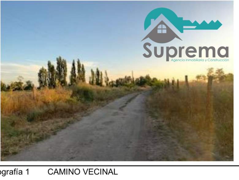 Venta Agrícola Longaví - Maule