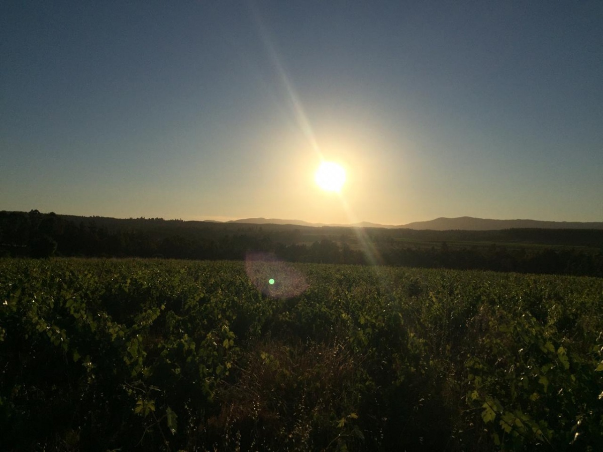 Venta Parcela Cauquenes - Maule