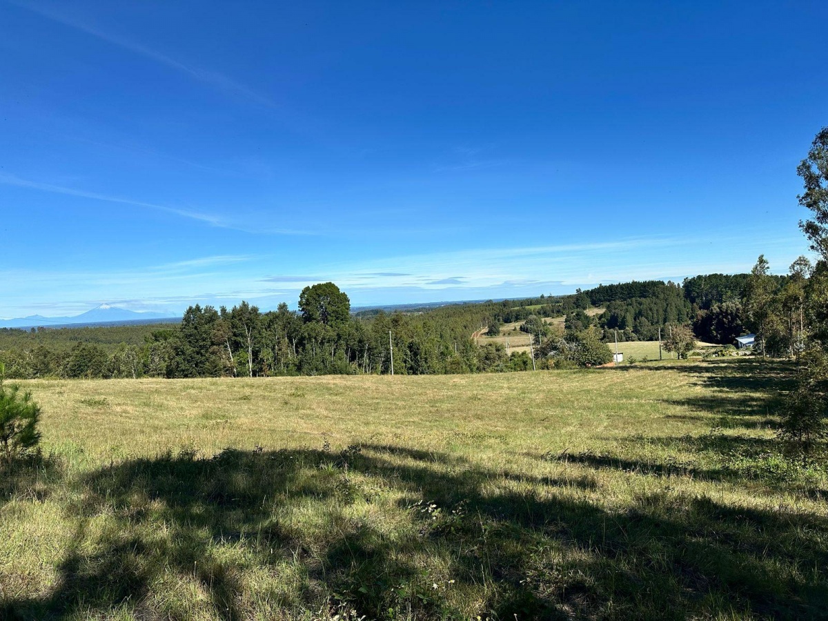 Venta Terreno Osorno - Los Lagos