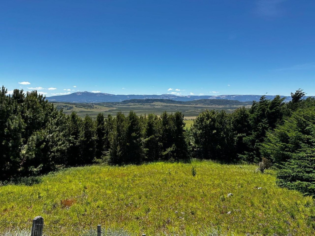 Venta Terreno Coyhaique - Aysén