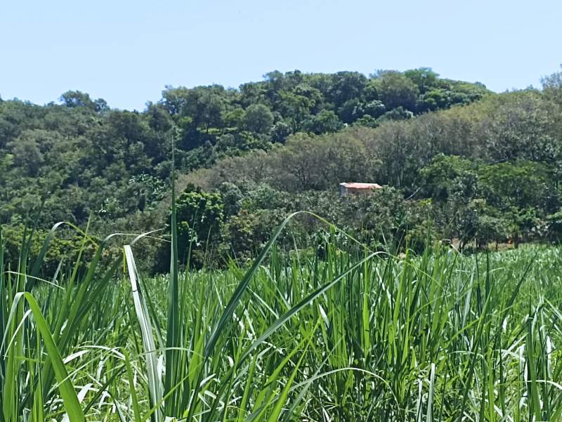 Venta Terreno / Lote Camichín de Jauja - Tepic