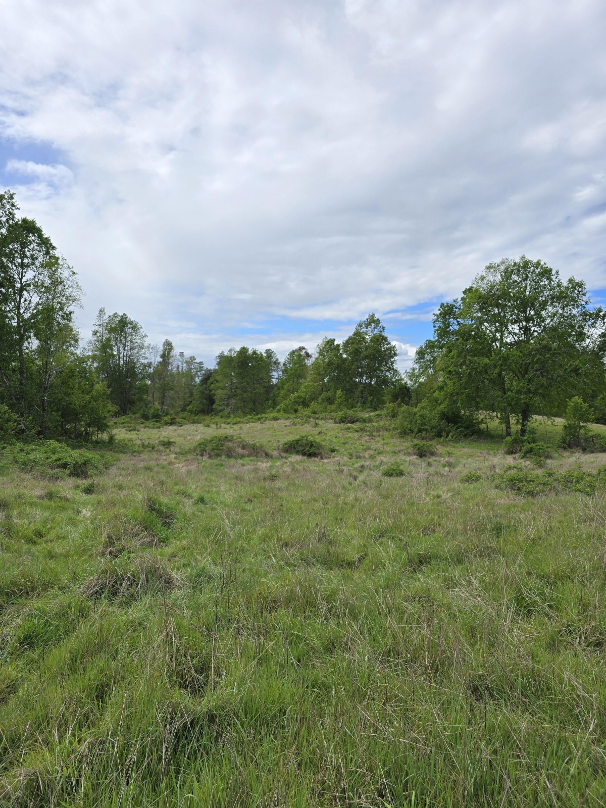 Venta Terreno Villarrica - La Araucanía