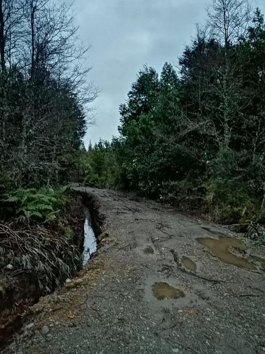 Venta Agrícola Ancud - Los Lagos