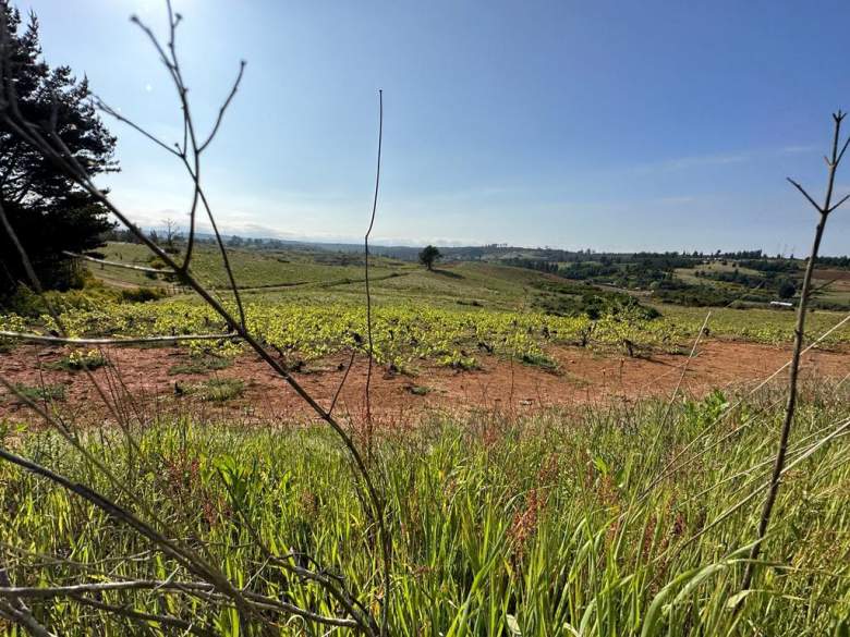 Venta Terreno Florida - Biobío
