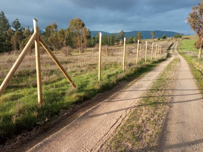 Venta Terreno Ninhue - Ñuble