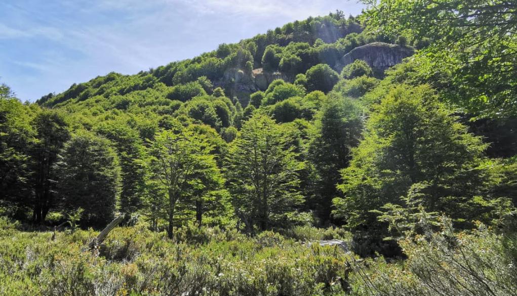 Venta Inversión Coyhaique - Aysén