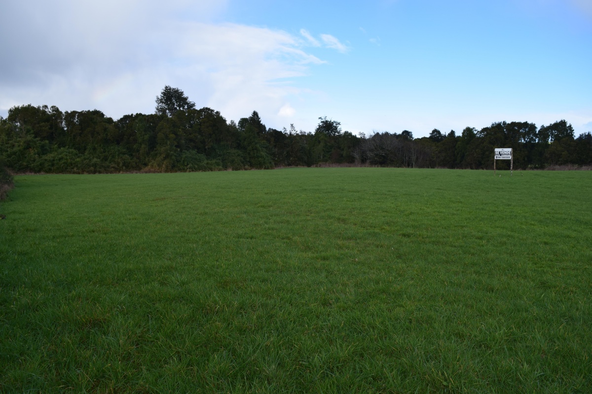 Venta Terreno Los Muermos - Los Lagos