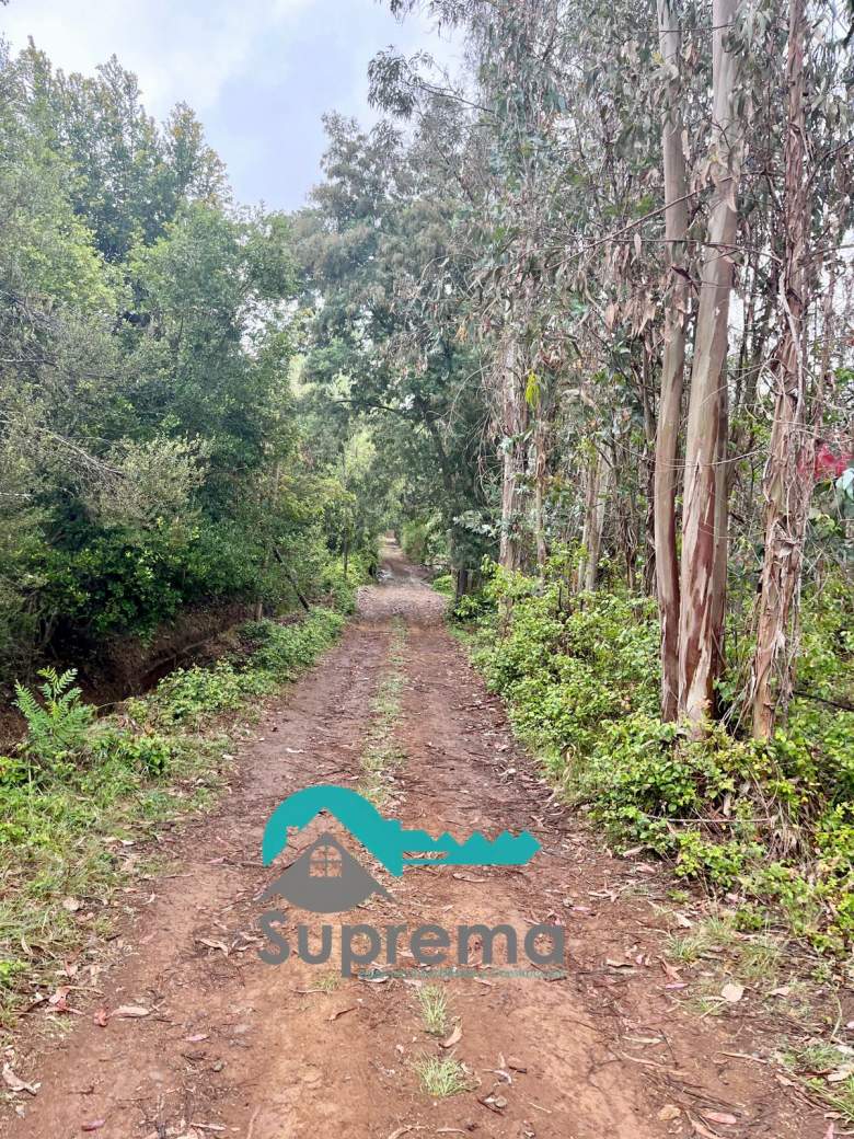 Venta Terreno Colbún - Maule
