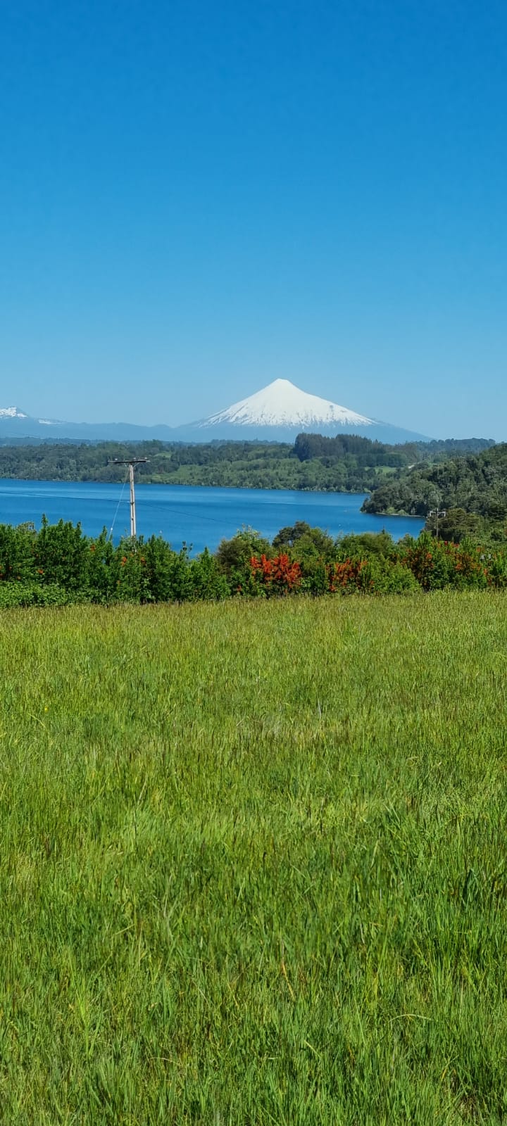 Venta Terreno Puerto Octay - Los Lagos