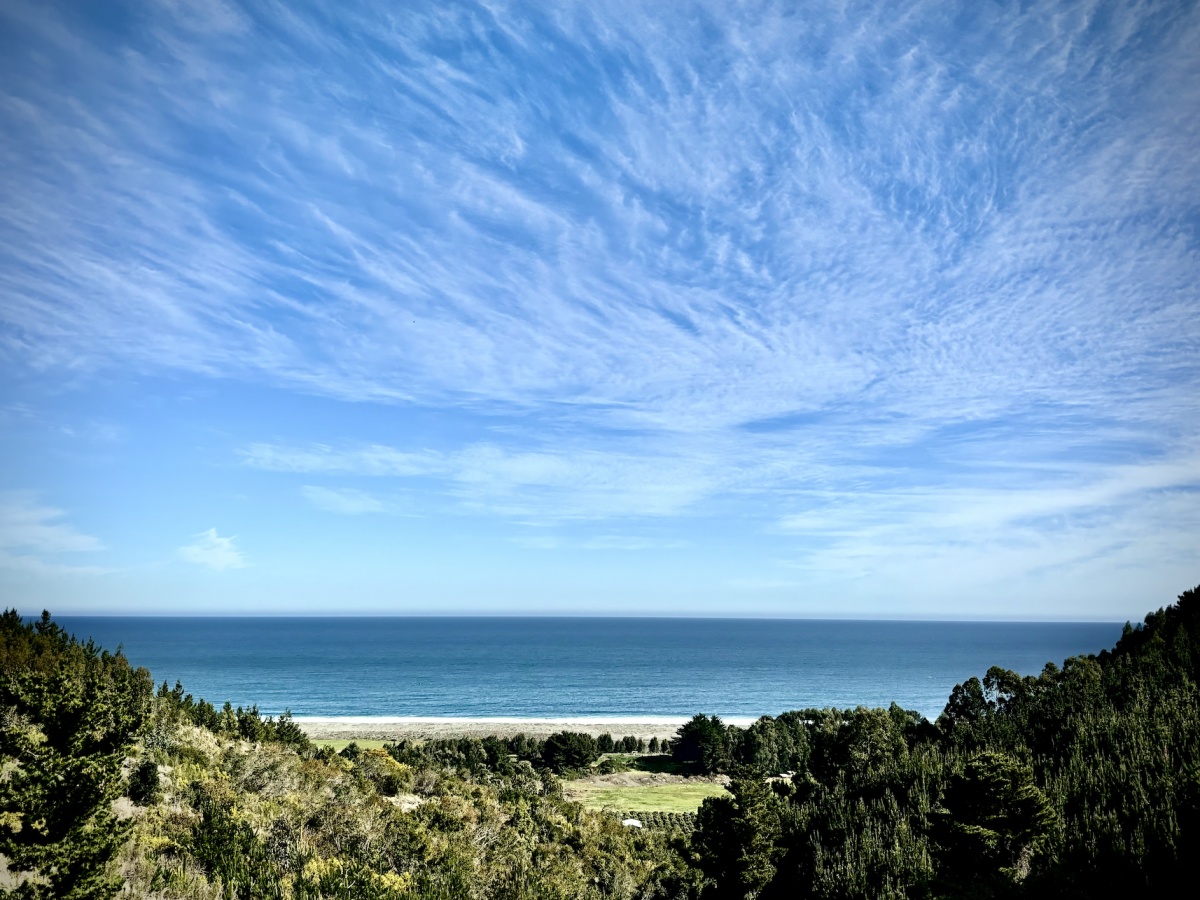 Venta Terreno Buchupureo - Ñuble